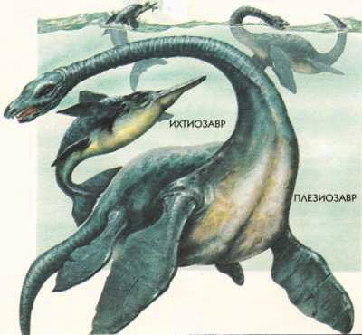 Морские динозавры - ихтиозавр и плезиозавр